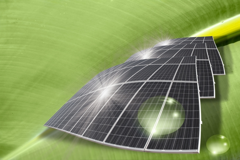 Solar panels on the leaf - Artificial photosynthesis concept