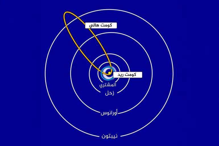 رسم تخطيطي يوضح مدار "كومت ريد" جنبًا إلى جنب مع حزام الكويكبات الرئيسي (هنري هسيه)