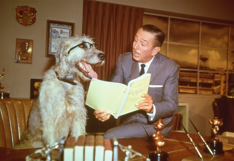 This is a December 23, 1965 photo of film animator and producer Walter Disney, in his office pretending to read a script with a dog, seated behind Disney's desk. (AP Photo)
