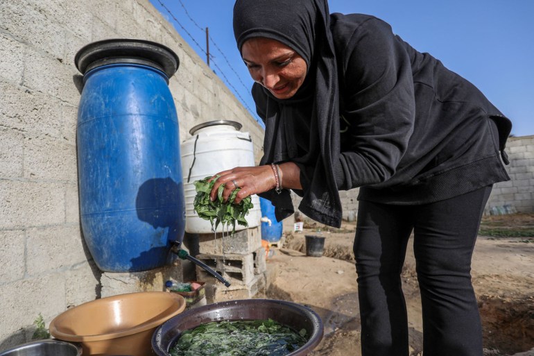 Siham lifts the leaves out of the water by hand, squeezing out any excess water [Abdelhakim Abu Riash/Al Jazeera]