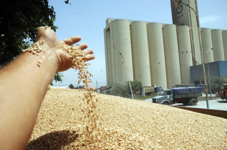 يهدف استصلاح الأراضي في الجزائر إلى تحقيق موسمين لزراعة الحبوب في سنة واحدة (الجزيرة)